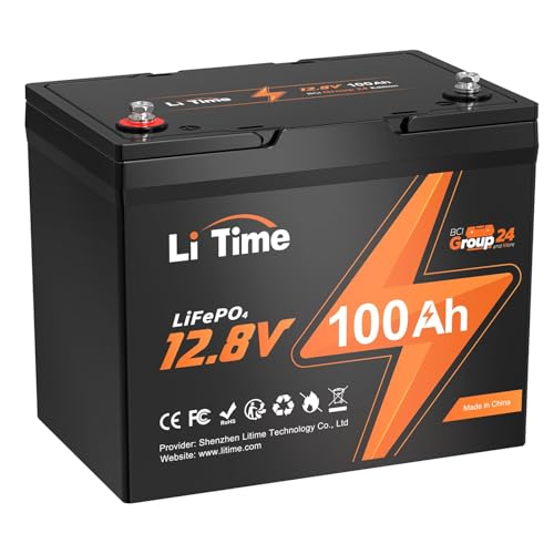 12V 100Ah LiFePO4 Battery with Built-in 100A BMS D2856