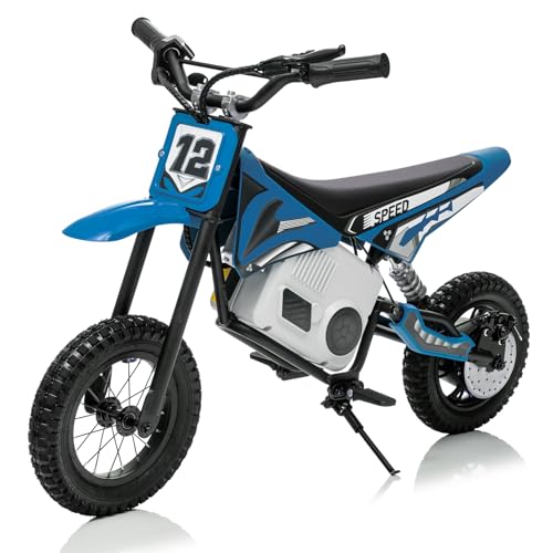 Electric Dirt Bike for Kids 8-14, 36V 350W, Off-Road Motorcycle I642