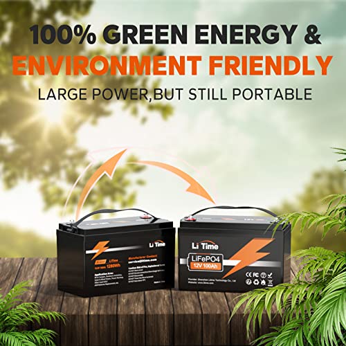 12V 100Ah LiFePO4 Battery with Built-in 100A BMS D2856