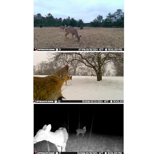 Hunting Cellular Trail Camera 36MP 1080P HD Video 360-Degree View B10817