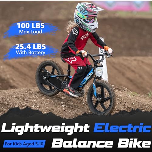 Electric Dirt Bike for Kids Aged 3-6, 170W Motor, 24V Battery, 12IN Tires J8048