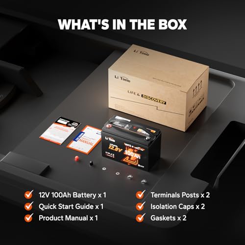 12V 100Ah LiFePO4 Battery with Built-in 100A BMS D2856