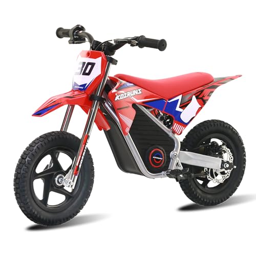 Electric Dirt Bike for Kids Aged 4-8, 350W Brushless Motor, 14'' Off-Road Tires, Blue Y255