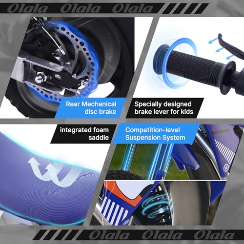Electric Dirt Bike for Kids Aged 4-8, 350W Brushless Motor, 14'' Off-Road Tires, Blue Y255