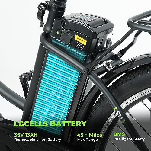 Electric Bike for Adults 750W 28mph with Removable Battery and Fat Tire W3858