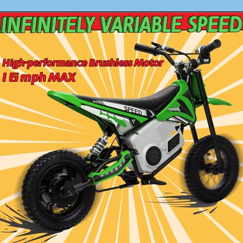 Electric Dirt Bike for Kids 8-14, 36V 350W, Off-Road Motorcycle I642