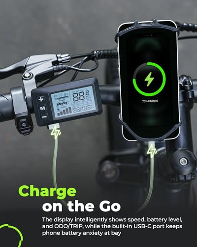 Electric Bike for Adults 750W 28mph with Removable Battery and Fat Tire W3858