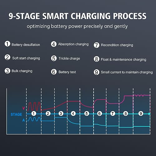 20 Amp Lithium Battery Charger, 12V and 24V LiFePO4, Lead-Acid Portable Car Battery Charger A814524