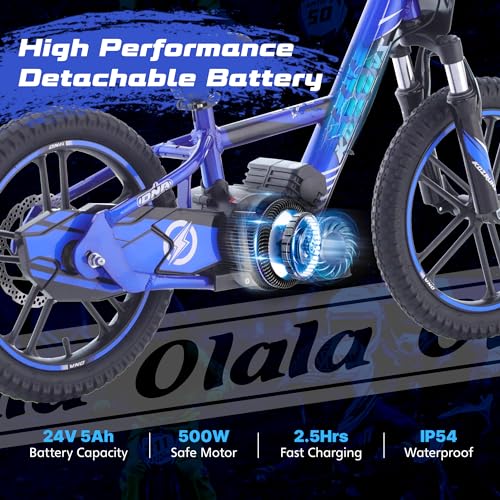 Electric Dirt Bike for Kids Aged 3-6, 170W Motor, 24V Battery, 12IN Tires J8048