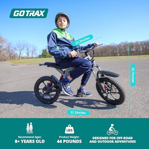 Electric Dirt Bike, 16" Pneumatic Tires, Dual Suspension & Disc Brake Y95584