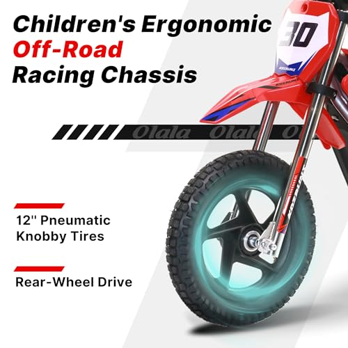 Electric Dirt Bike for Kids Aged 4-8, 350W Brushless Motor, 14'' Off-Road Tires, Blue Y255