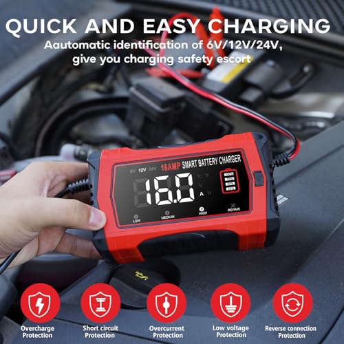 12V 24V 16-Amp Smart Battery Charger for Car Truck Boat Marine D264