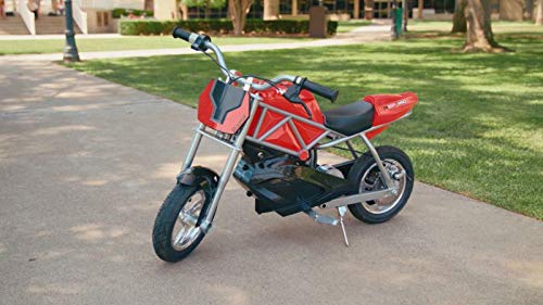Single Speed Electric Bike with Pneumatic Tires R238988