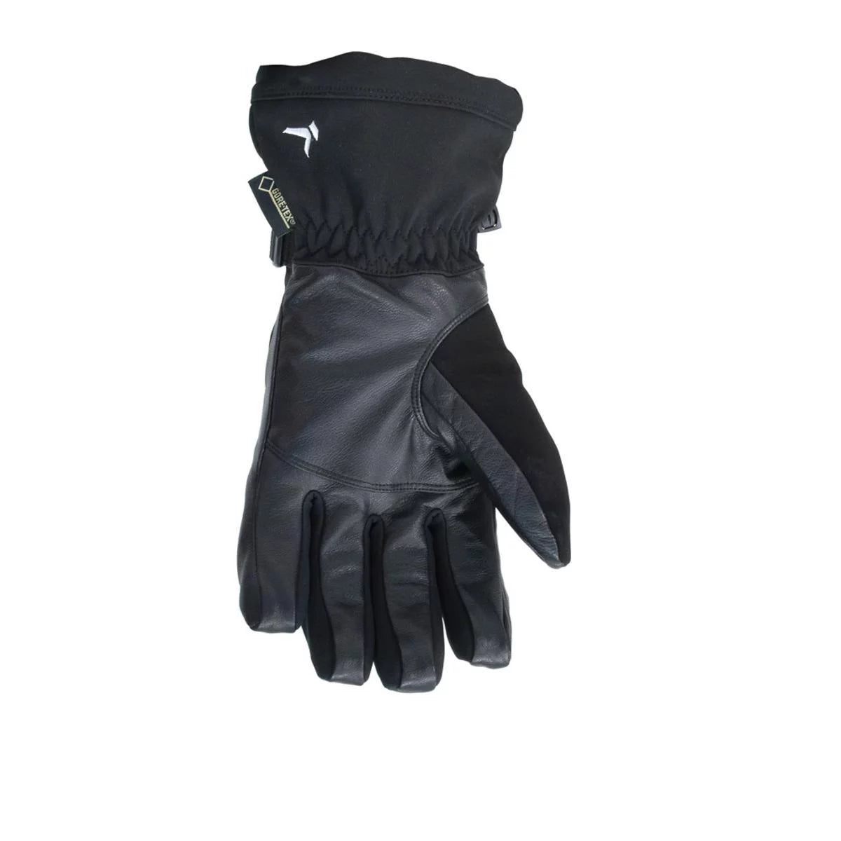 Men's Gore-tex Ski Gloves D928232