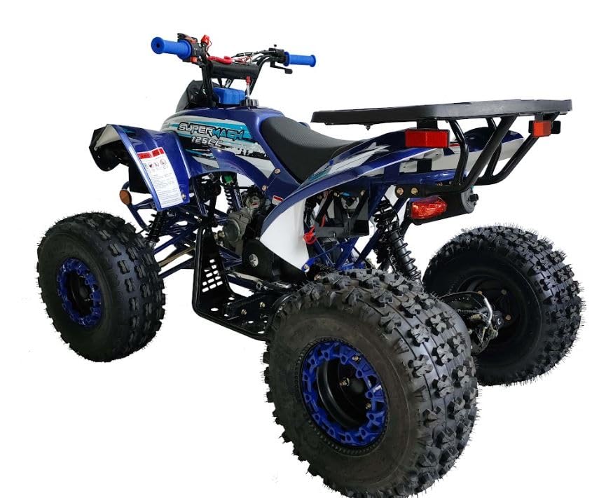 125cc ATV Fully Automatic with Reverse Double Headlights LED Gas 4 Wheeler U53754