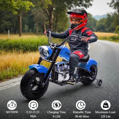 Electric Dirt Bike for Kids 14+, 360W Motor, 15.5 MPH, Gray Q330721