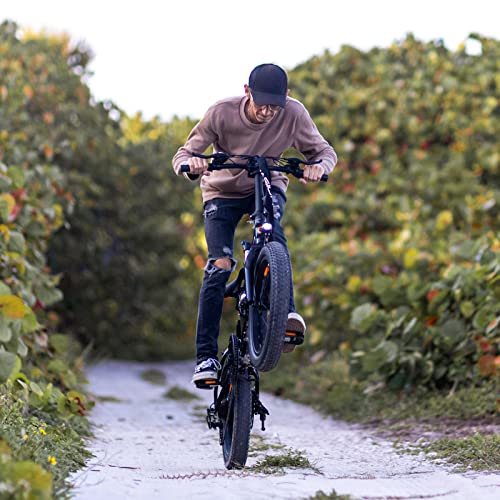 Folding Electric Bike for Adults, 1200W Peak Motor, 28MPH Max Speed, 48V 10AH Removable Battery, 20" Fat Tire M14323