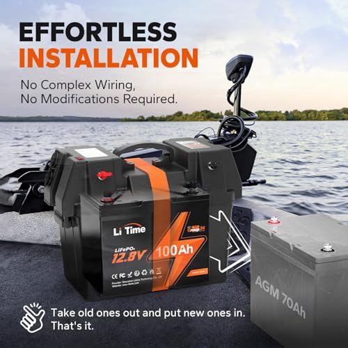 12V 100Ah LiFePO4 Battery with Built-in 100A BMS D2856
