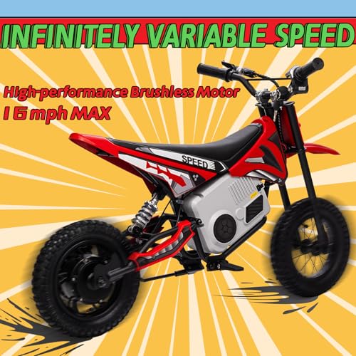 Electric Dirt Bike for Kids 8-14, 36V 350W, Off-Road Motorcycle I642