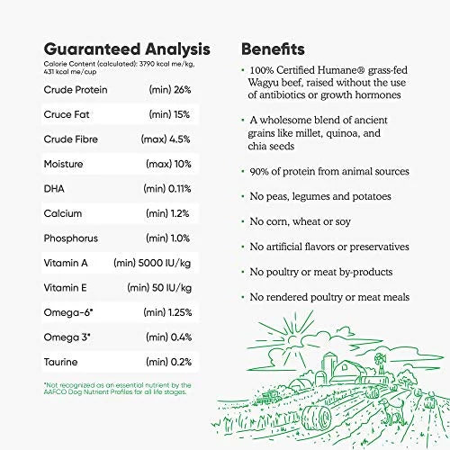 Grass-Fed Beef & Ancient Grains Dry Dog Food, 4 lbs Q25321