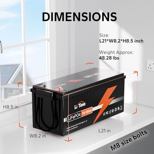 12V 100Ah LiFePO4 Battery with Built-in 100A BMS D2856