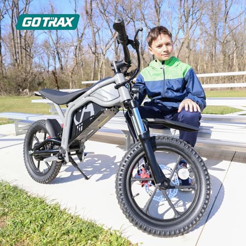 Electric Dirt Bike, 16" Pneumatic Tires, Dual Suspension & Disc Brake Y95584