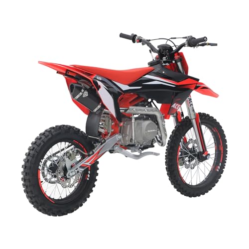 125CC Dirt Bike, 4-Speed Manual Clutch, 17"/14" Tires V202