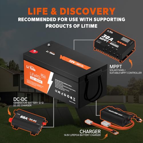 12V 100Ah LiFePO4 Battery with Built-in 100A BMS D2856