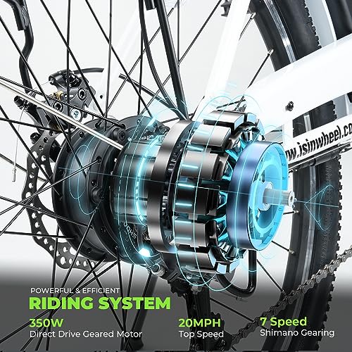 Electric Bike for Adults 750W 28mph with Removable Battery and Fat Tire W3858
