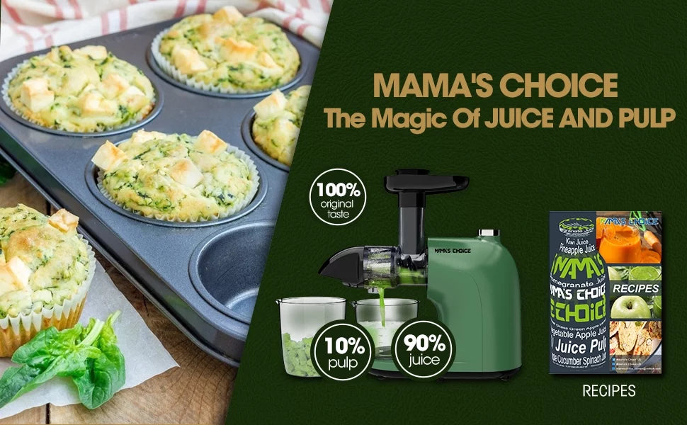 Slow Masticating Juicer for Vegetables and Fruits, Cold Press Extractor I446