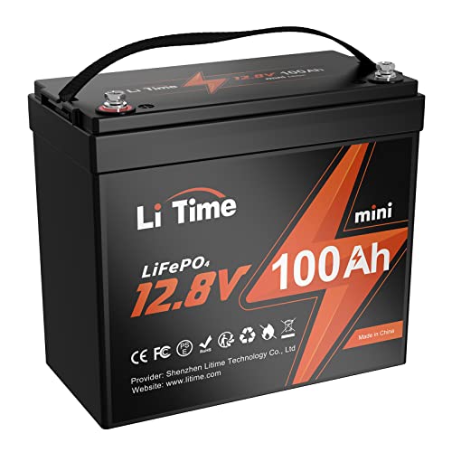 12V 100Ah LiFePO4 Battery with Built-in 100A BMS D2856