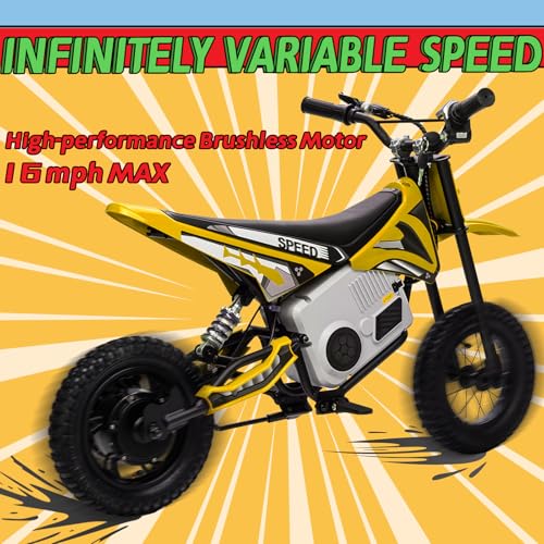 Electric Dirt Bike for Kids 8-14, 36V 350W, Off-Road Motorcycle I642