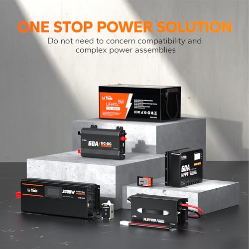12V 100Ah LiFePO4 Battery with Built-in 100A BMS D2856
