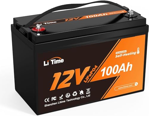 12V 100Ah LiFePO4 Battery with Built-in 100A BMS D2856