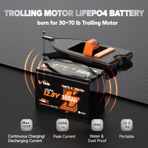 12V 100Ah LiFePO4 Battery with Built-in 100A BMS D2856