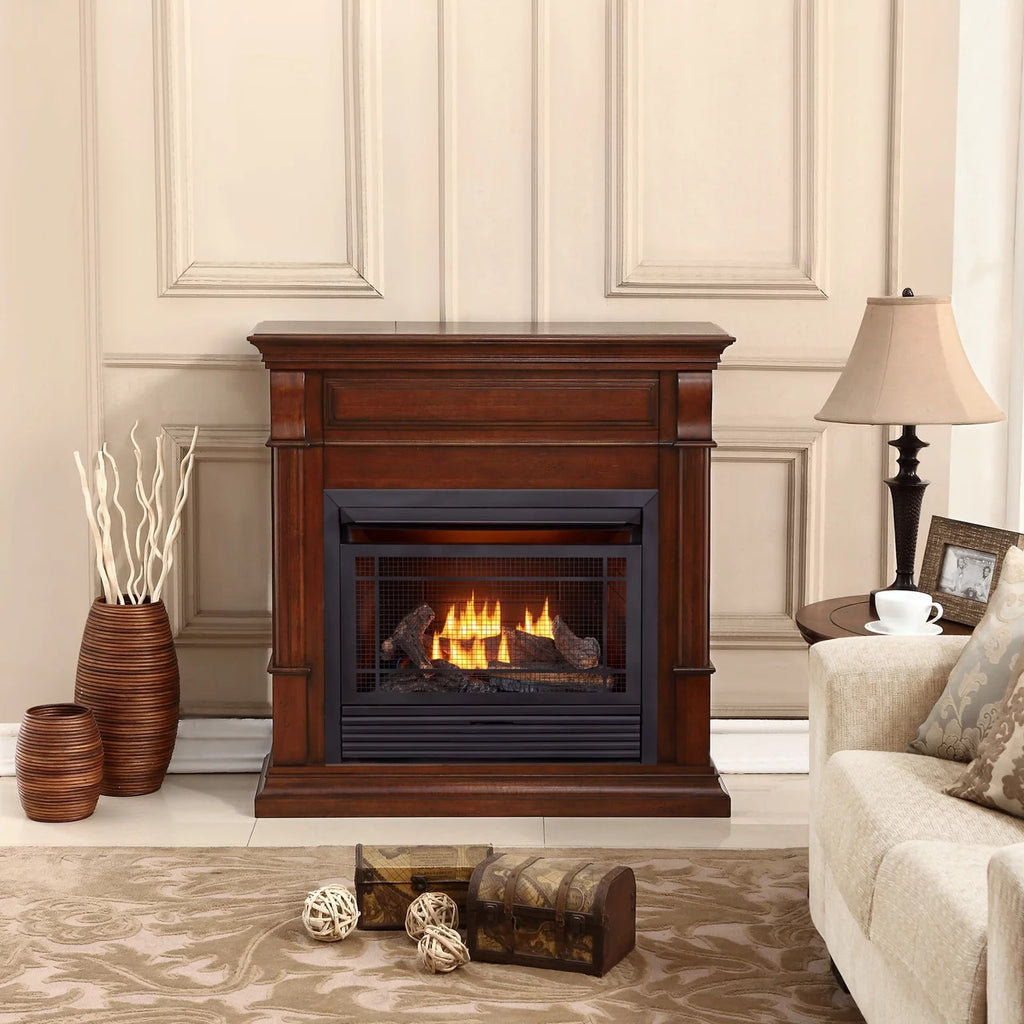Dual Fuel Ventless Gas Fireplace with Remote Control L4694