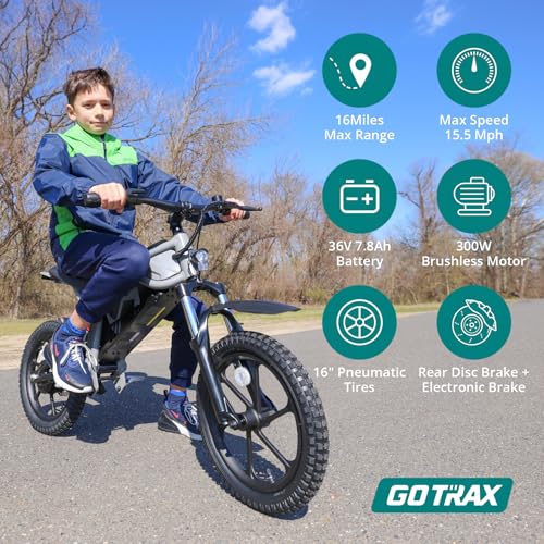 Electric Dirt Bike, 16" Pneumatic Tires, Dual Suspension & Disc Brake Y95584
