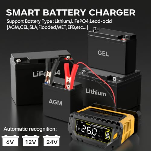 12V 24V 16-Amp Smart Battery Charger for Car Truck Boat Marine D264