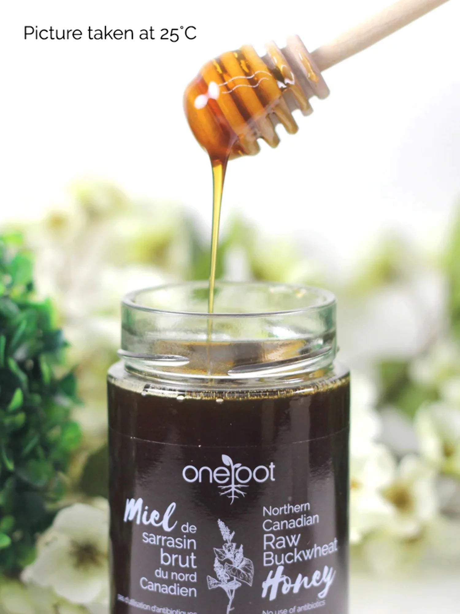 Raw Buckwheat Honey 3-Pack 500g Each L179