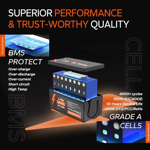 12V 100Ah LiFePO4 Battery with Built-in 100A BMS D2856