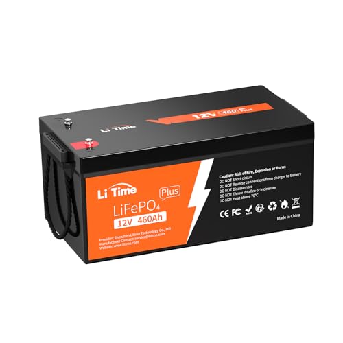 12V 100Ah LiFePO4 Battery with Built-in 100A BMS D2856