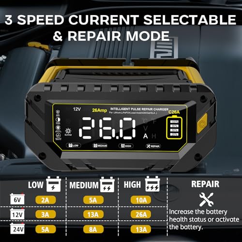 12V 24V 16-Amp Smart Battery Charger for Car Truck Boat Marine D264