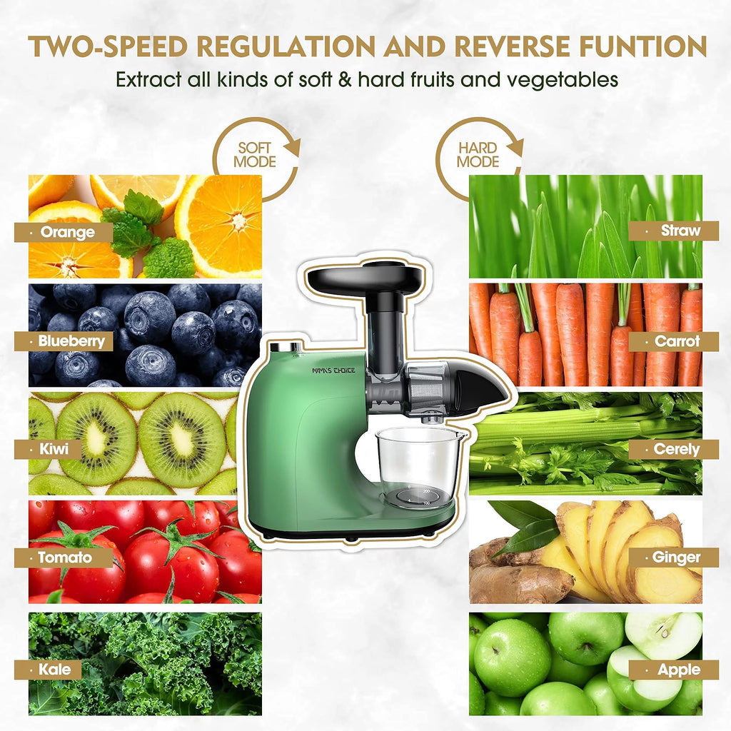 Slow Masticating Juicer for Vegetables and Fruits, Cold Press Extractor I446