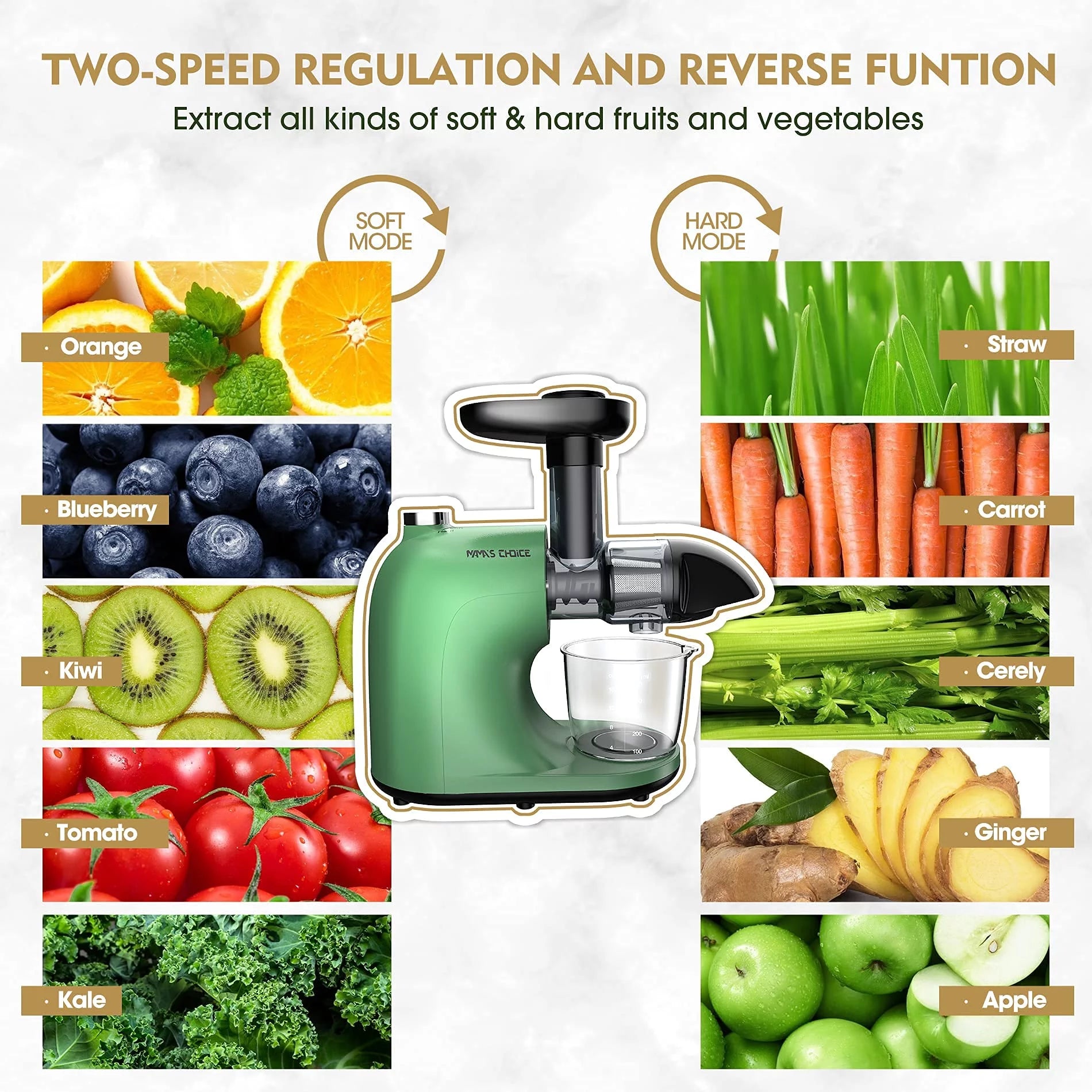 Slow Masticating Juicer for Vegetables and Fruits, Cold Press Extractor I446