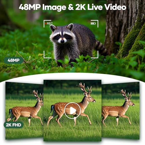 Solar Trail Camera 48MP 30FPS WiFi Bluetooth Game Camera with Night Vision E584