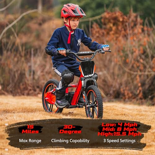 Electric Dirt Bike for Kids Aged 3-6, 170W Motor, 24V Battery, 12IN Tires J8048