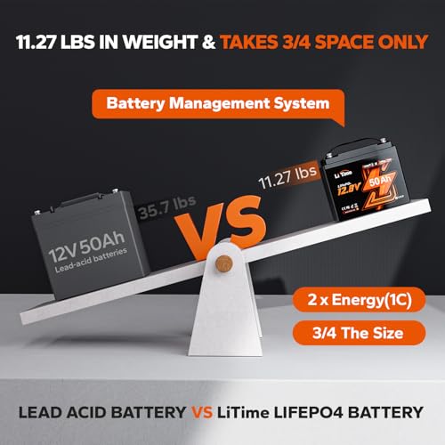 12V 100Ah LiFePO4 Battery with Built-in 100A BMS D2856
