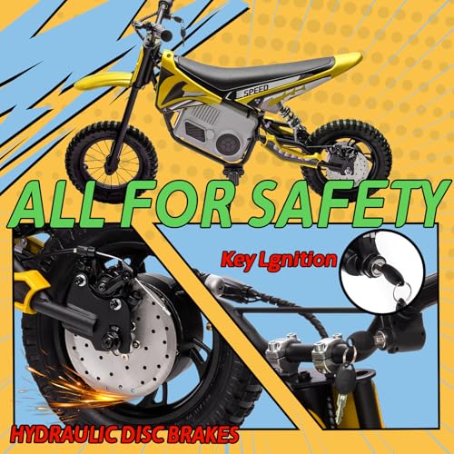 Electric Dirt Bike for Kids 8-14, 36V 350W, Off-Road Motorcycle I642