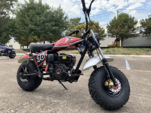 Mini Bike 196cc with Front and Rear Brakes P15467