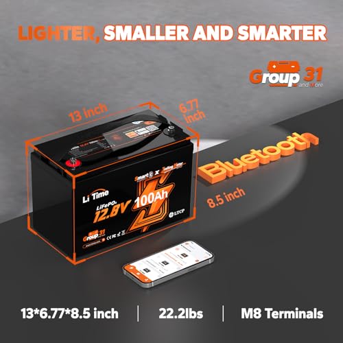 12V 100Ah LiFePO4 Battery with Built-in 100A BMS D2856